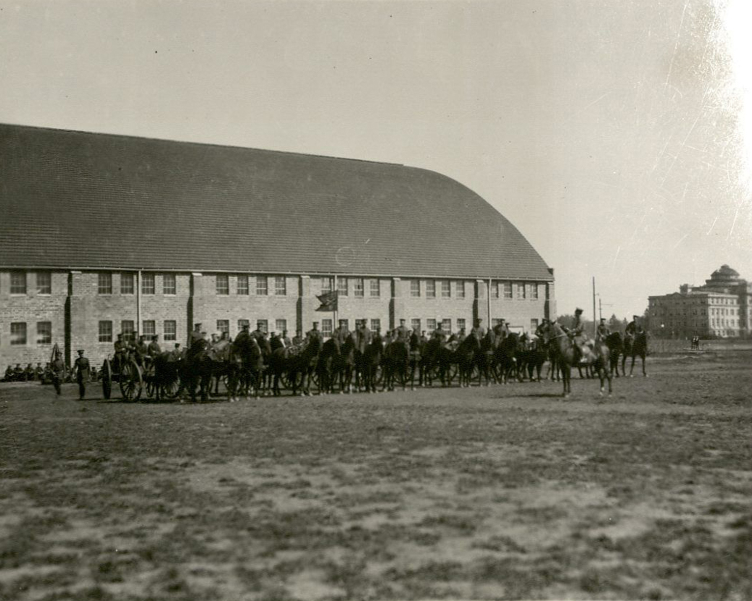 Horses lined up outside armory