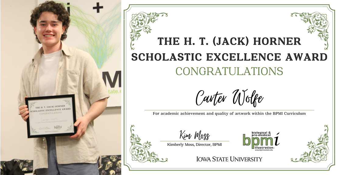 Carter Wolfe Certificate