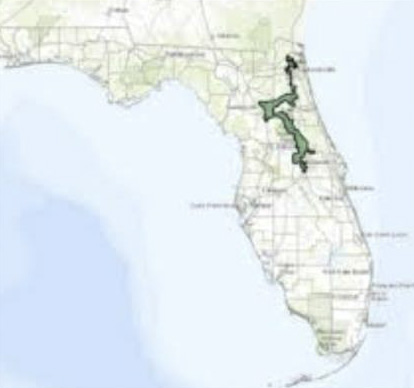 Example of gerrymandered district