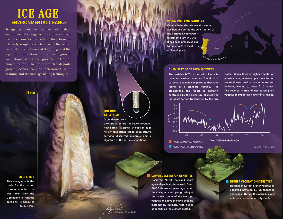 This poster, entitled “Ice Age Environmental Change,” depicts a realistic view of a stalagmite sampled for paleoclimate research in combination with insets showing potential vegetation scenarios in the past. Credit: Illustrations: Katelyn Sima; research: Ryan Oeste. Copyright: Katelyn Sima.
