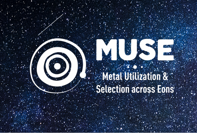 MUSE logo