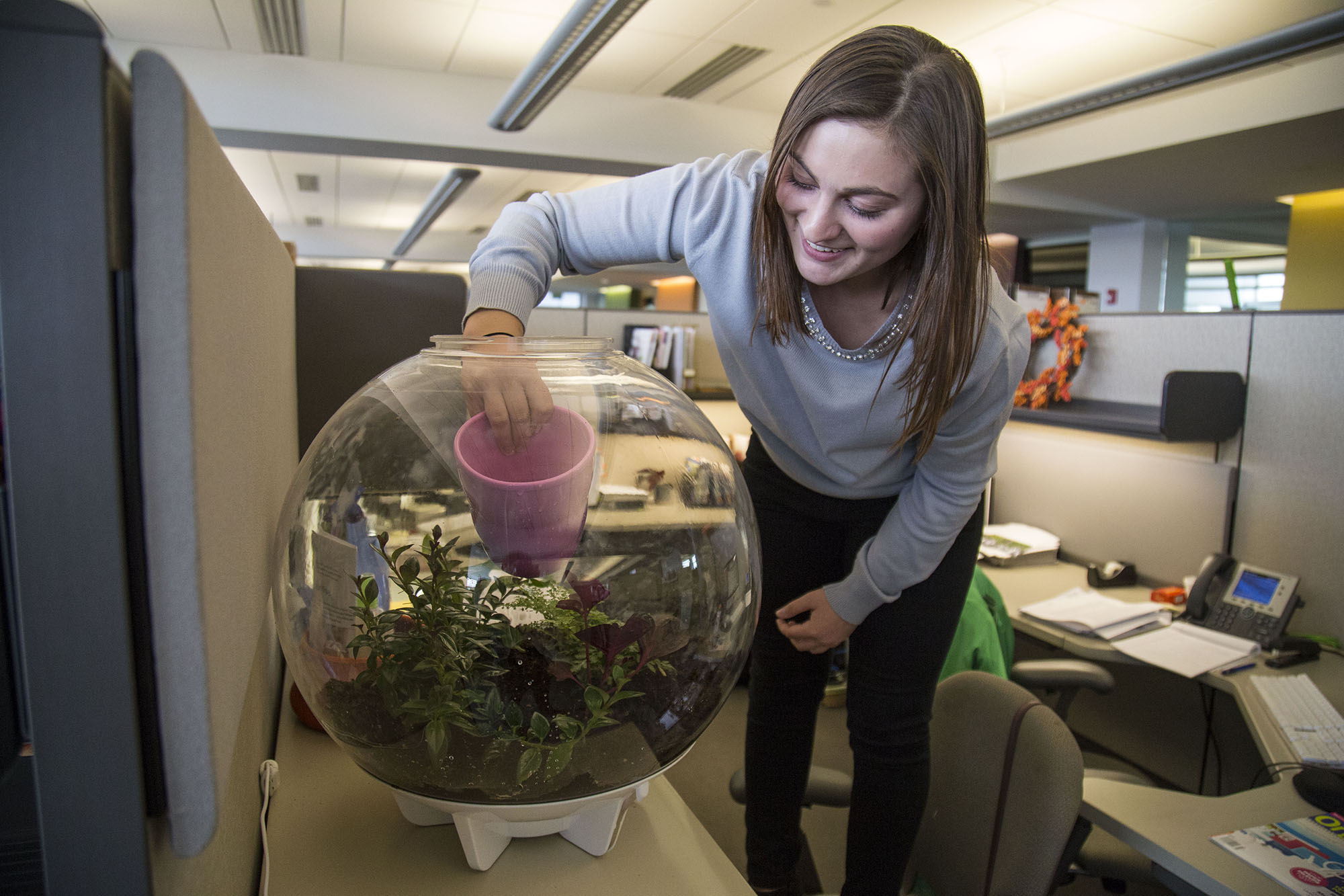 Bailey McGrath, waters plants in a biOrb Air Terrarium. As the editorial apprentice at Better Homes and Gardens — SIM Gardens Group, McGrath chose the plants and wrote a blog post about the terrarium. 