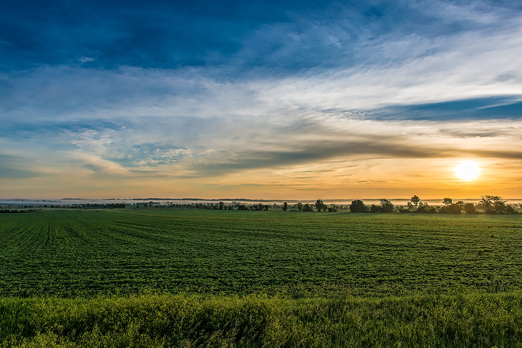 Iowa fields at sunset