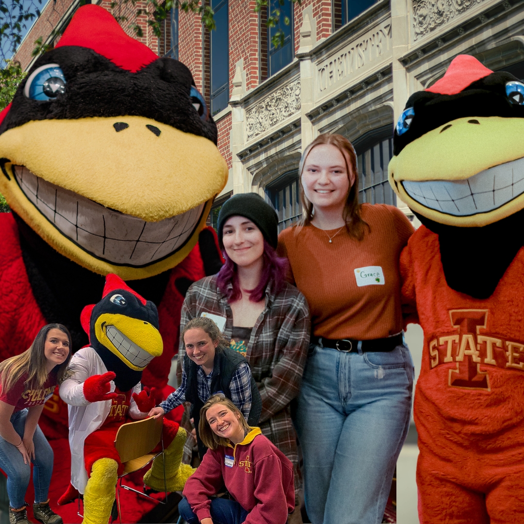 Multiple Cy photos with students featuring Gilman Hall background