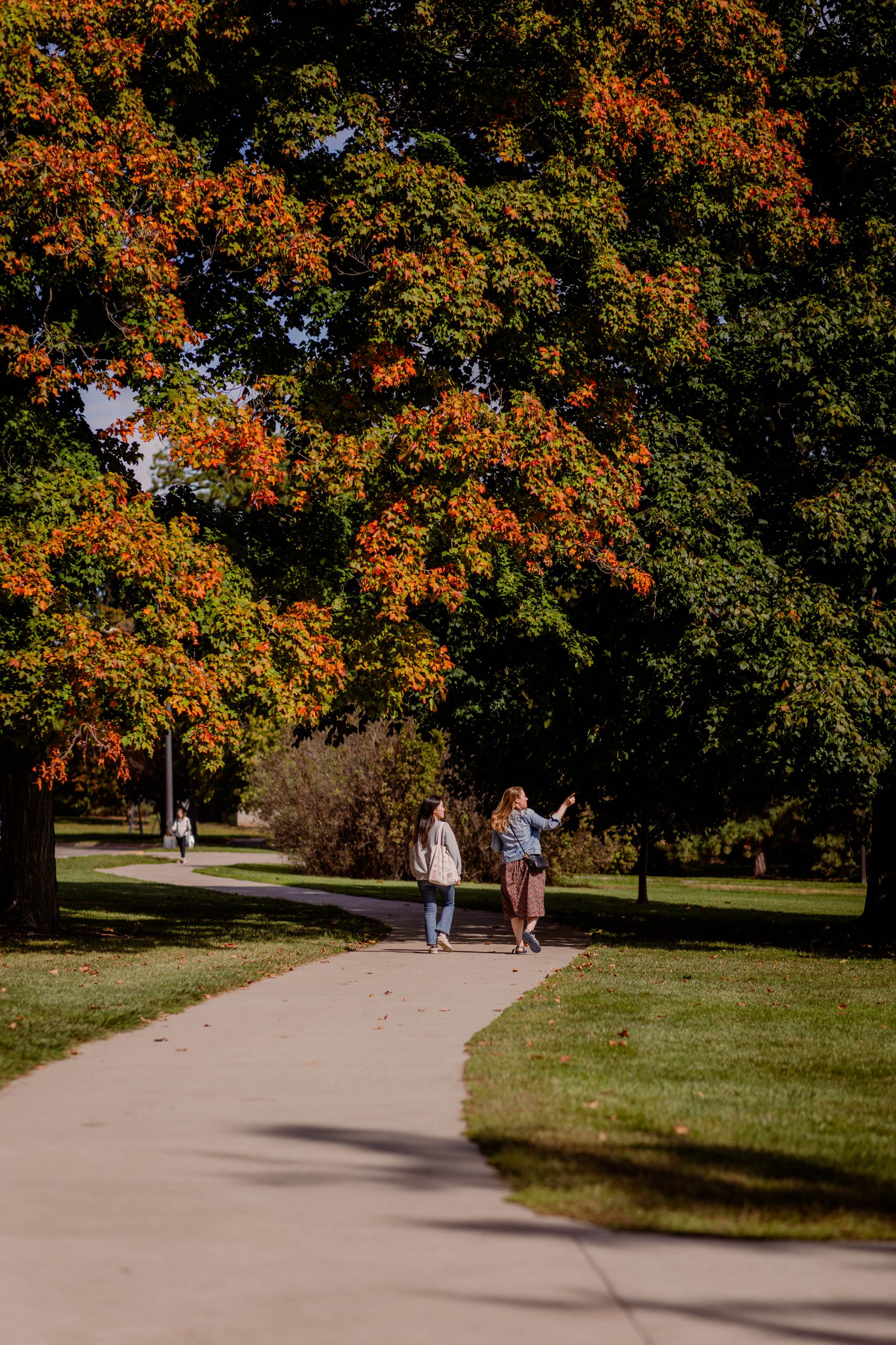 Two students walking on winding sidewalk through campus under the changing leaves on trees above them