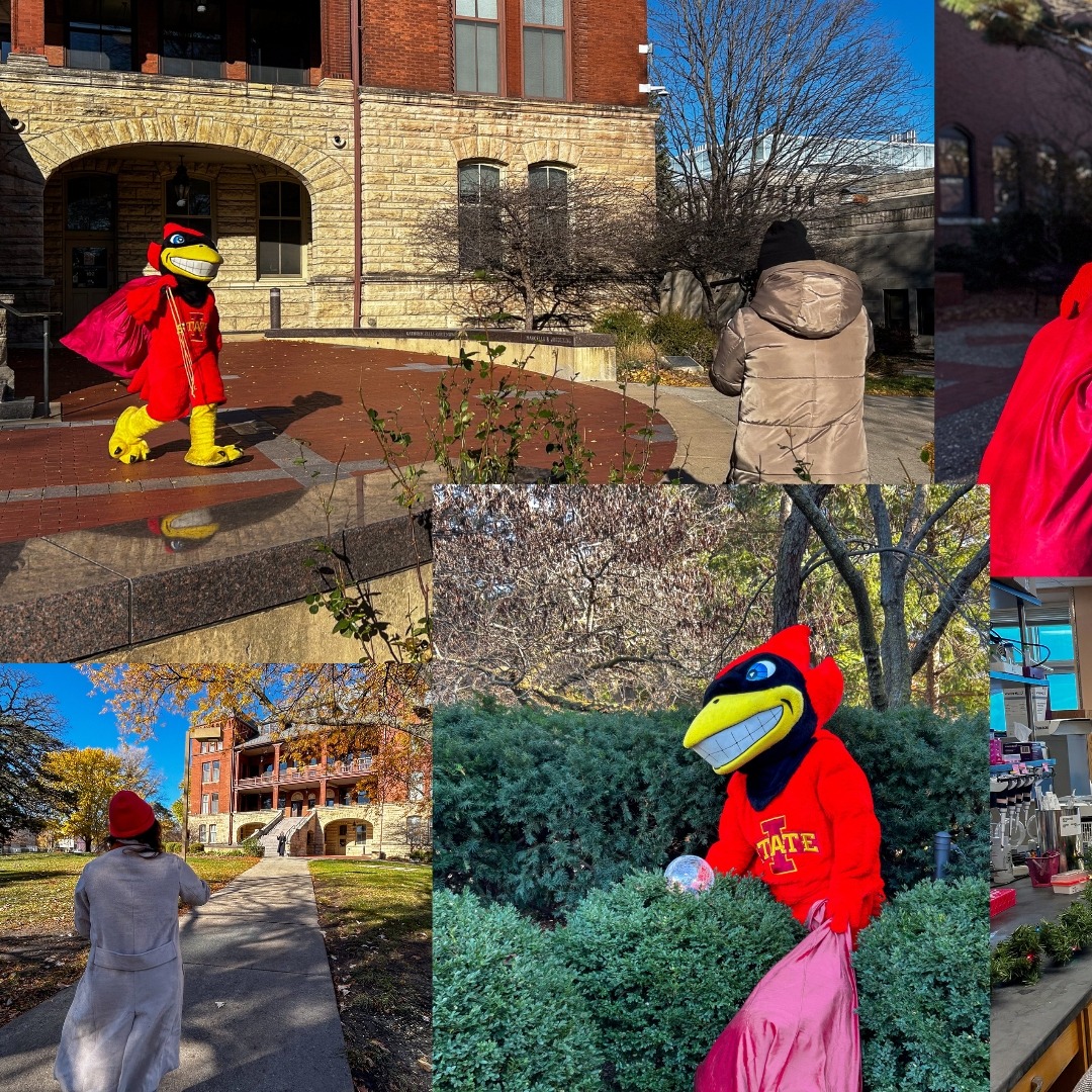 Image collage featuring Cy the Cardinal walking in front of a historic brick and stone building, carrying a red sack. A person dressed warmly with a hat and coat filming Cy the Cardinal on a bright winter day. Cy peeking out from behind bushes, holding a red sack with a snow globe visible in hand. A wide-angle view of the historic campus building framed by trees with fall foliage. Cy standing near outdoor greenery, preparing props for the video shoot. A close-up of a festive, indoor workspace with video equipment visible.