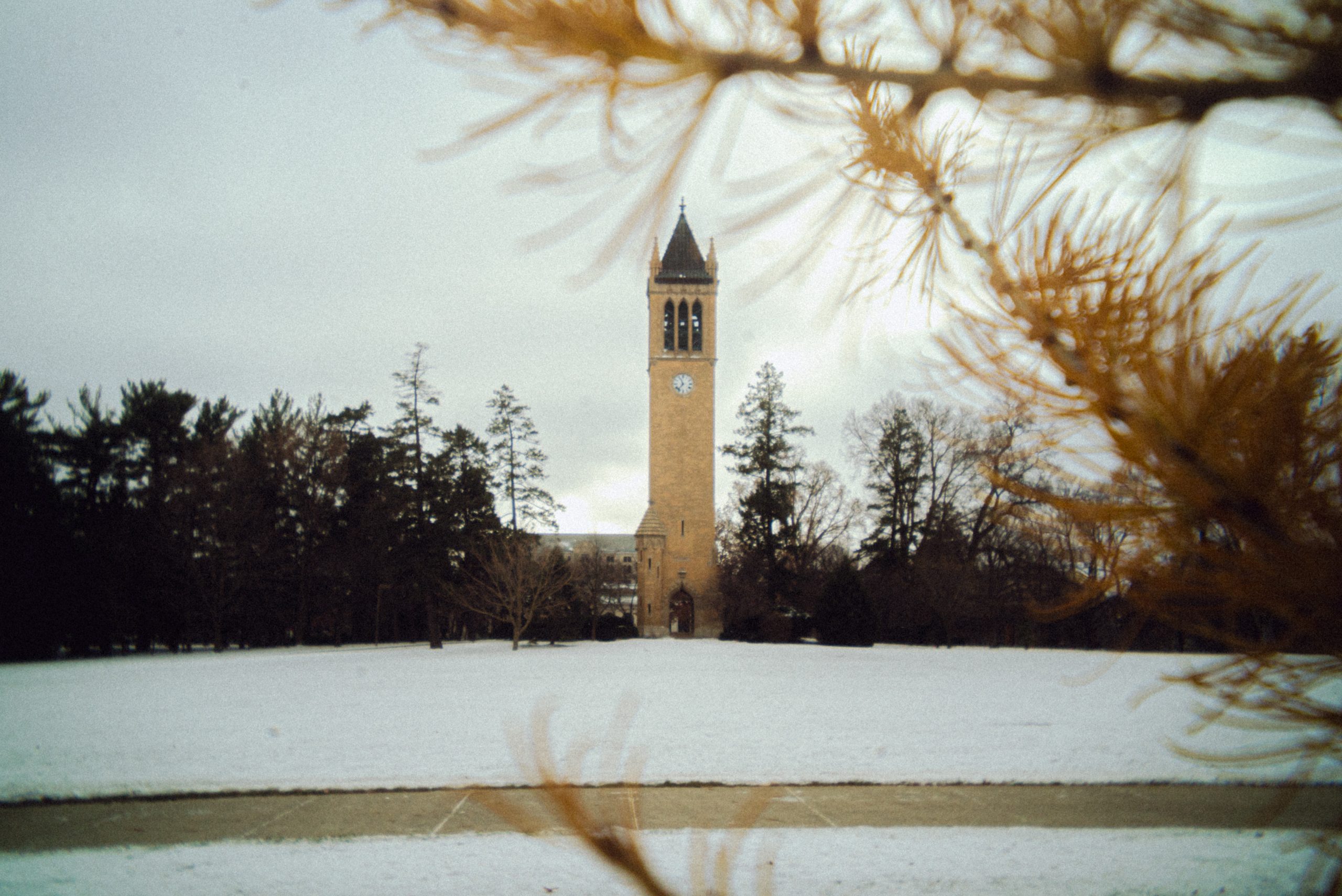 Campanile in the distance during first snowfall of fall 2024. Bare branches are in the foreground in the top right corner -- snow covers everything.