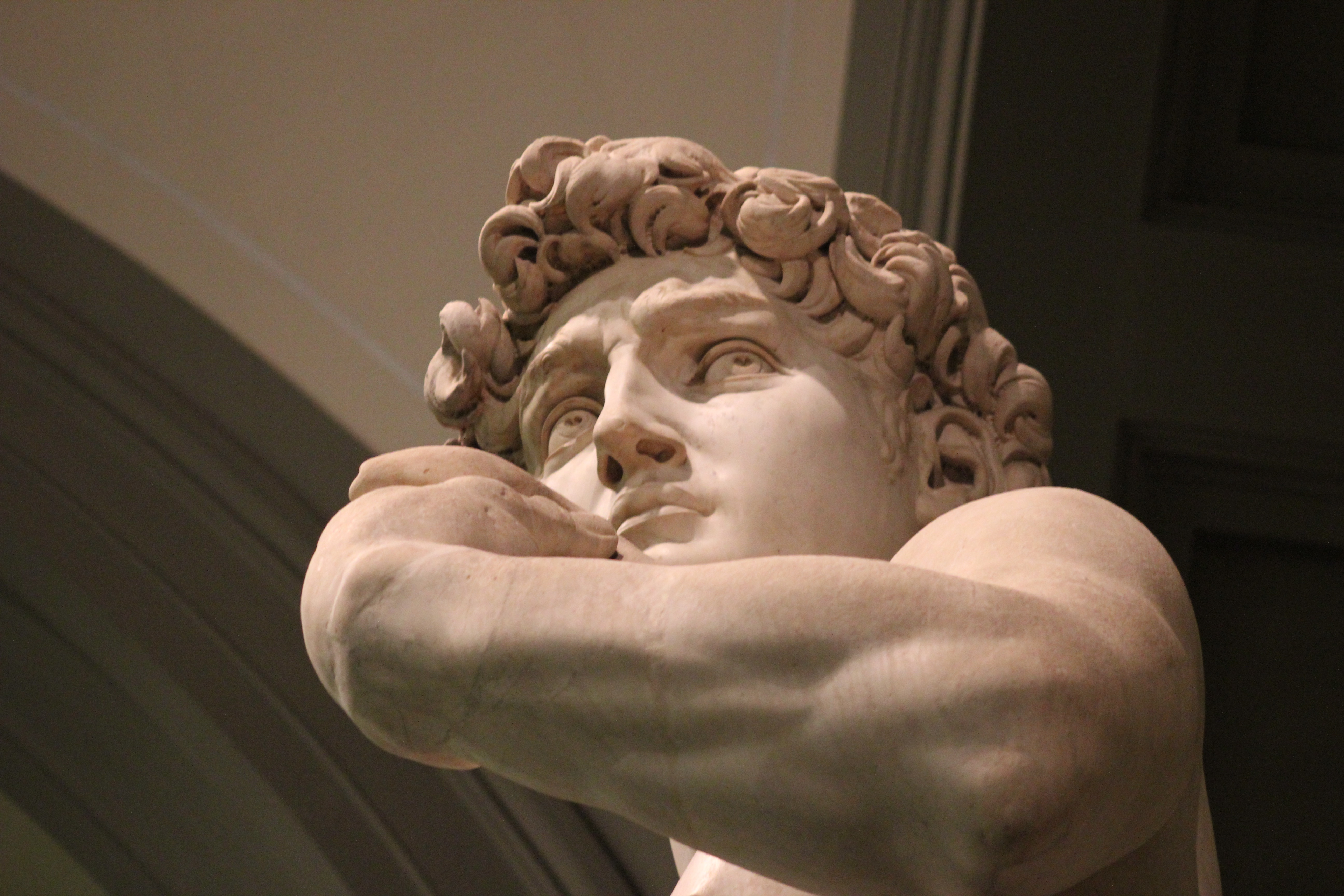 Looking up at the arm and face of the statue of David.