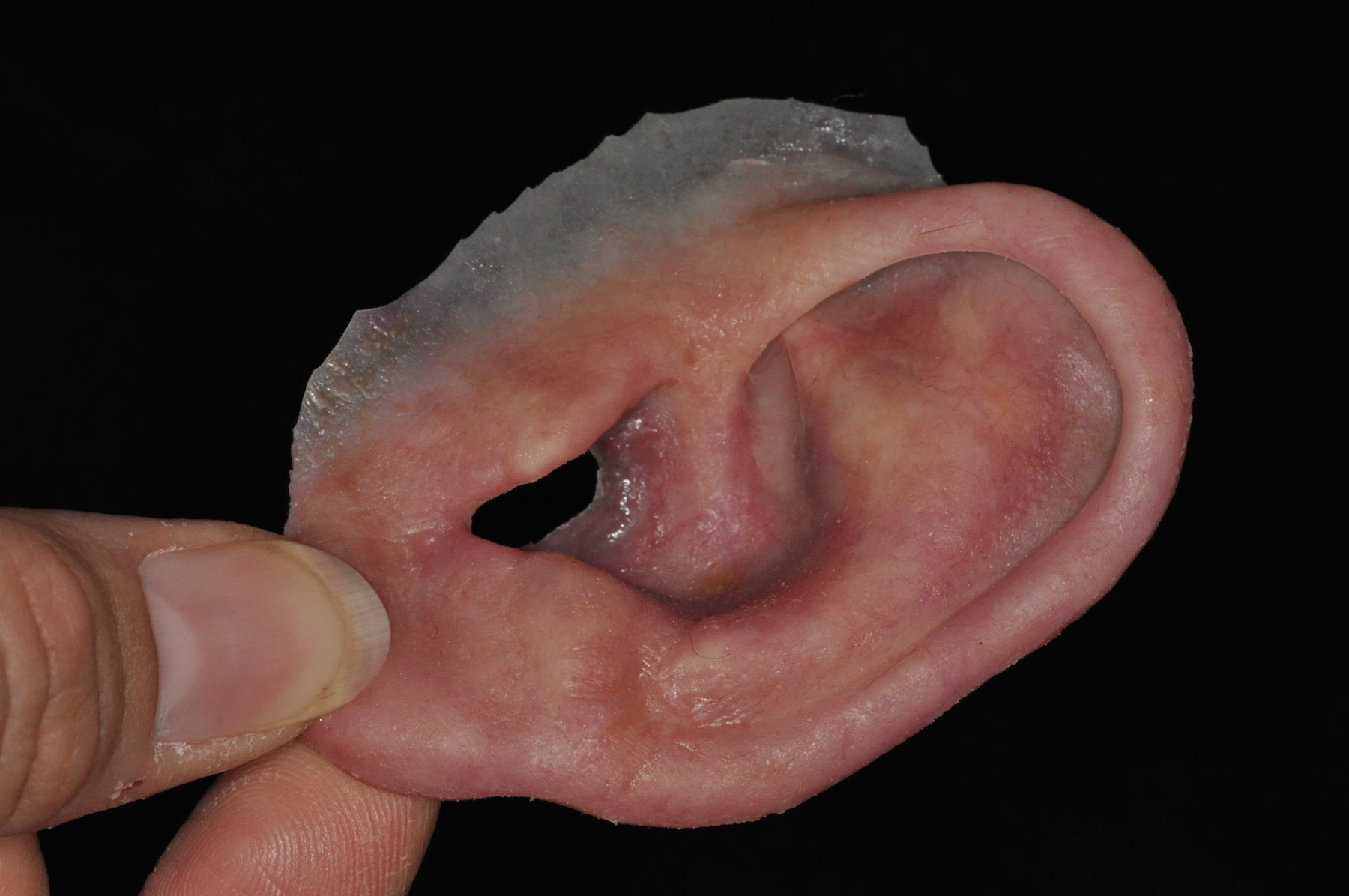 A detailed shot of a silicone ear prosthetic created by Verma and her team. 