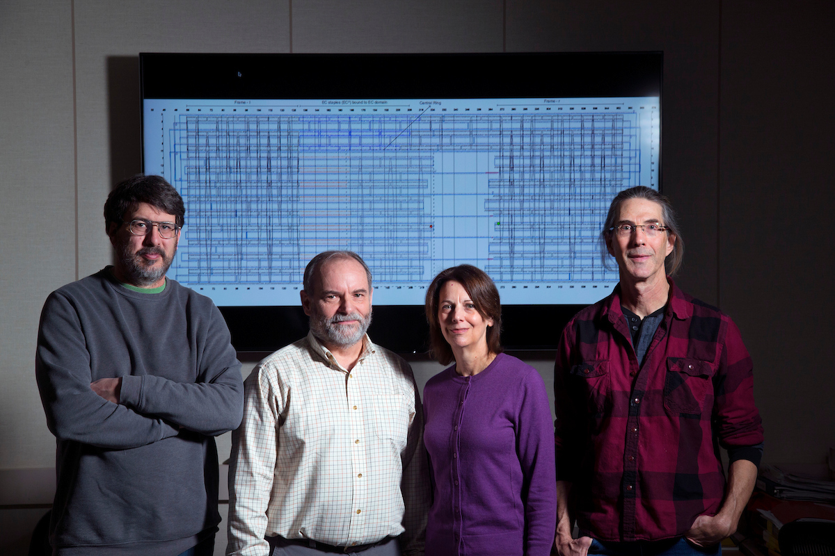 From left, Jim Lathrop, Jack Lutz, Robyn Lutz and Eric Henderson in the Iowa State University Laboratory for Molecular Programming.