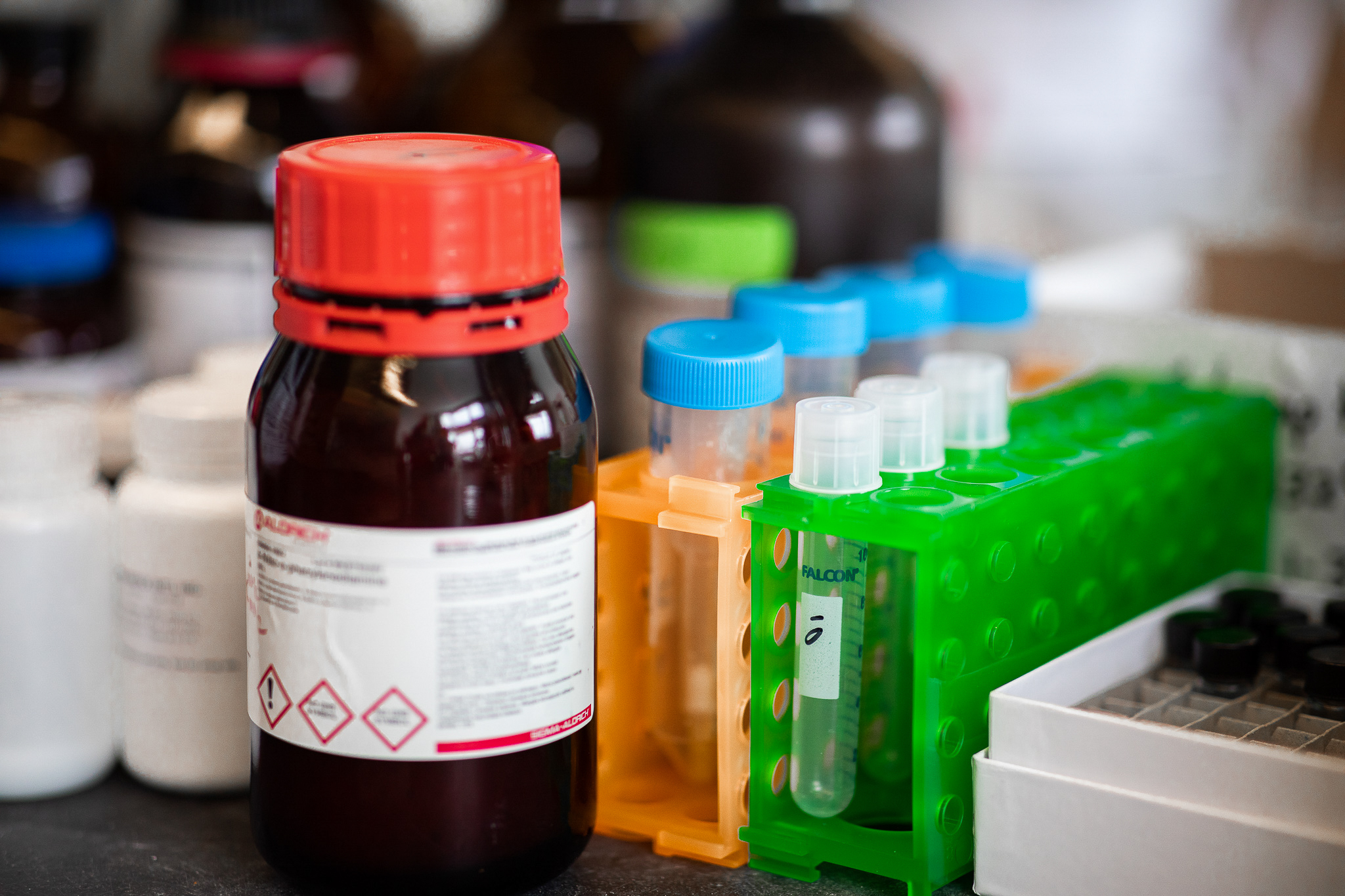 Glas jars, test tubes and other equipment fill the VanVeller Lab