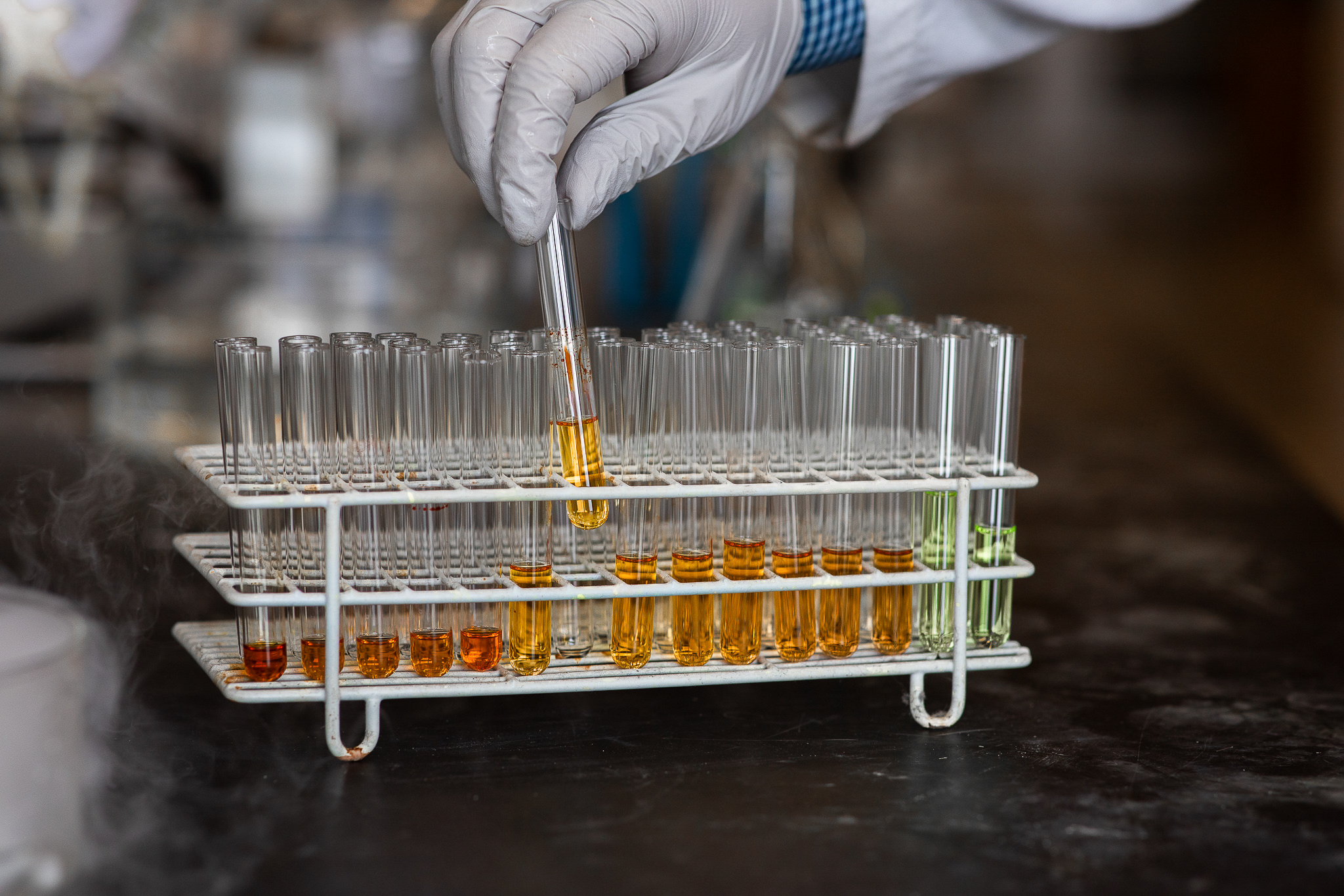 glass test tubes filled with colored liquids sit on a lab countertop