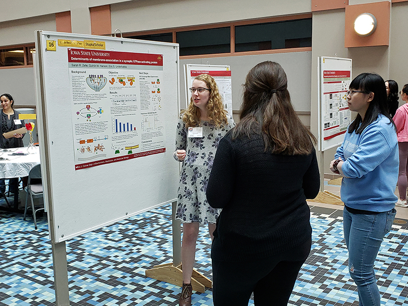 Sarah Zelle explains her research at a conference