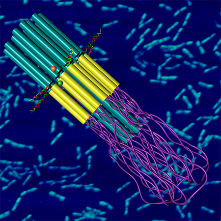 Colorful 3D rendering of "Optimus" a DNA molecule that has been reshaped.