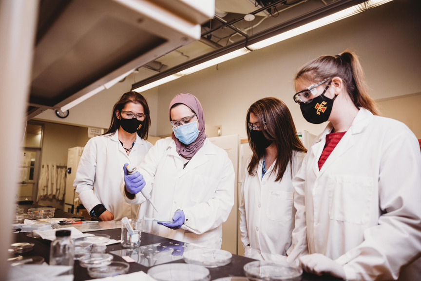 Robbyn Anand and her students work on a diagnostic test in the Anand Lab