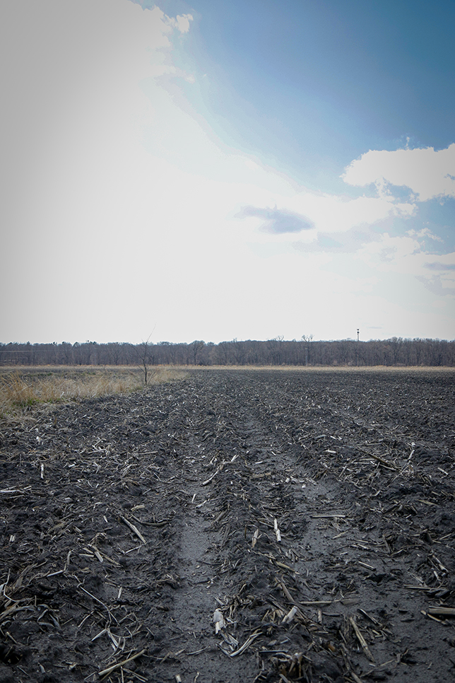 An Iowa field