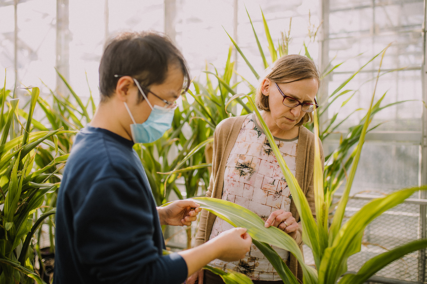 Diane Bassham and her research student inspect corn leaves in the Molecular Biology Building greenhouse.