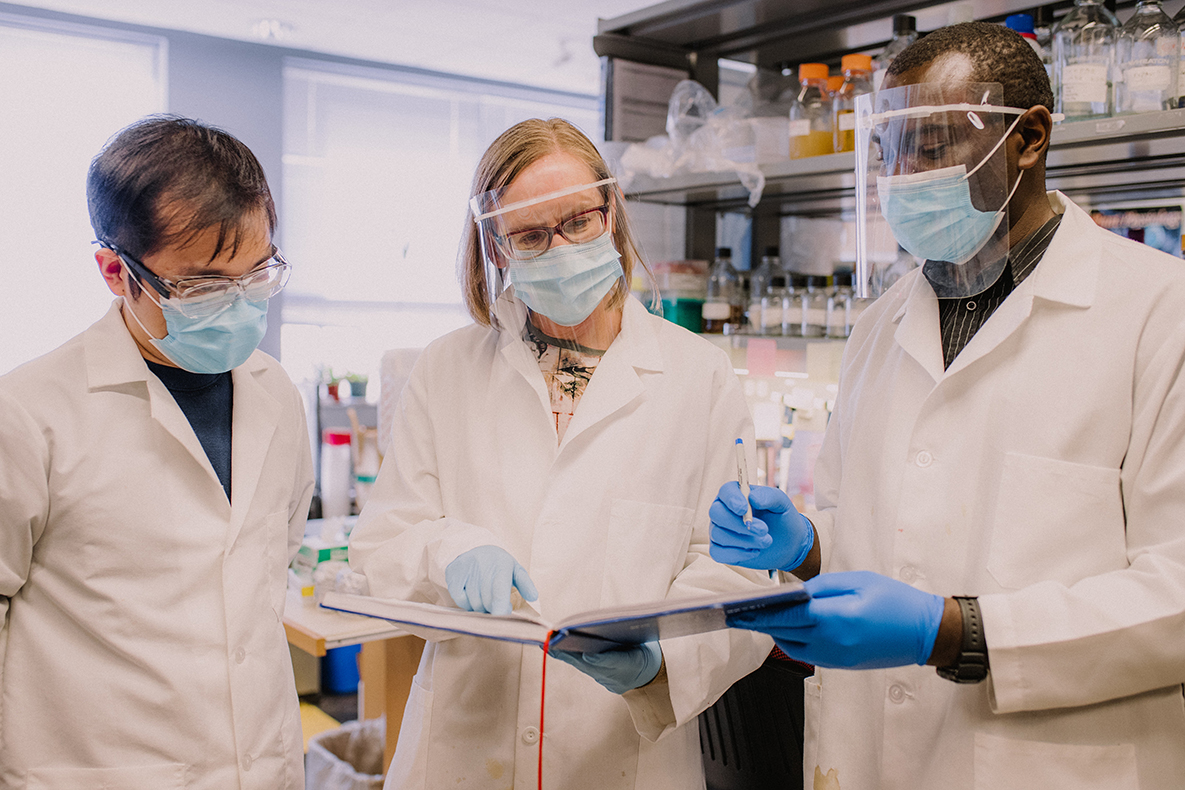 Diane Bassham with two graduate students in her lab.