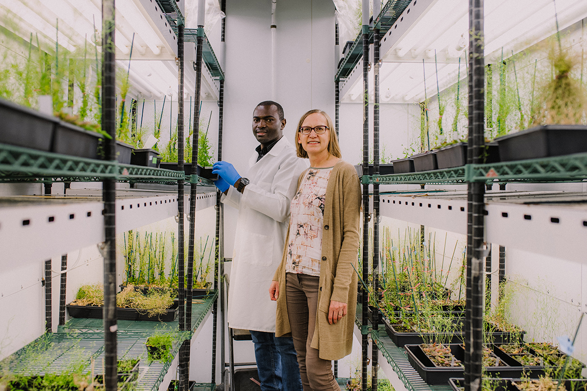 Diane Bassham and one of her graduate students pose in her plant grow lab.
