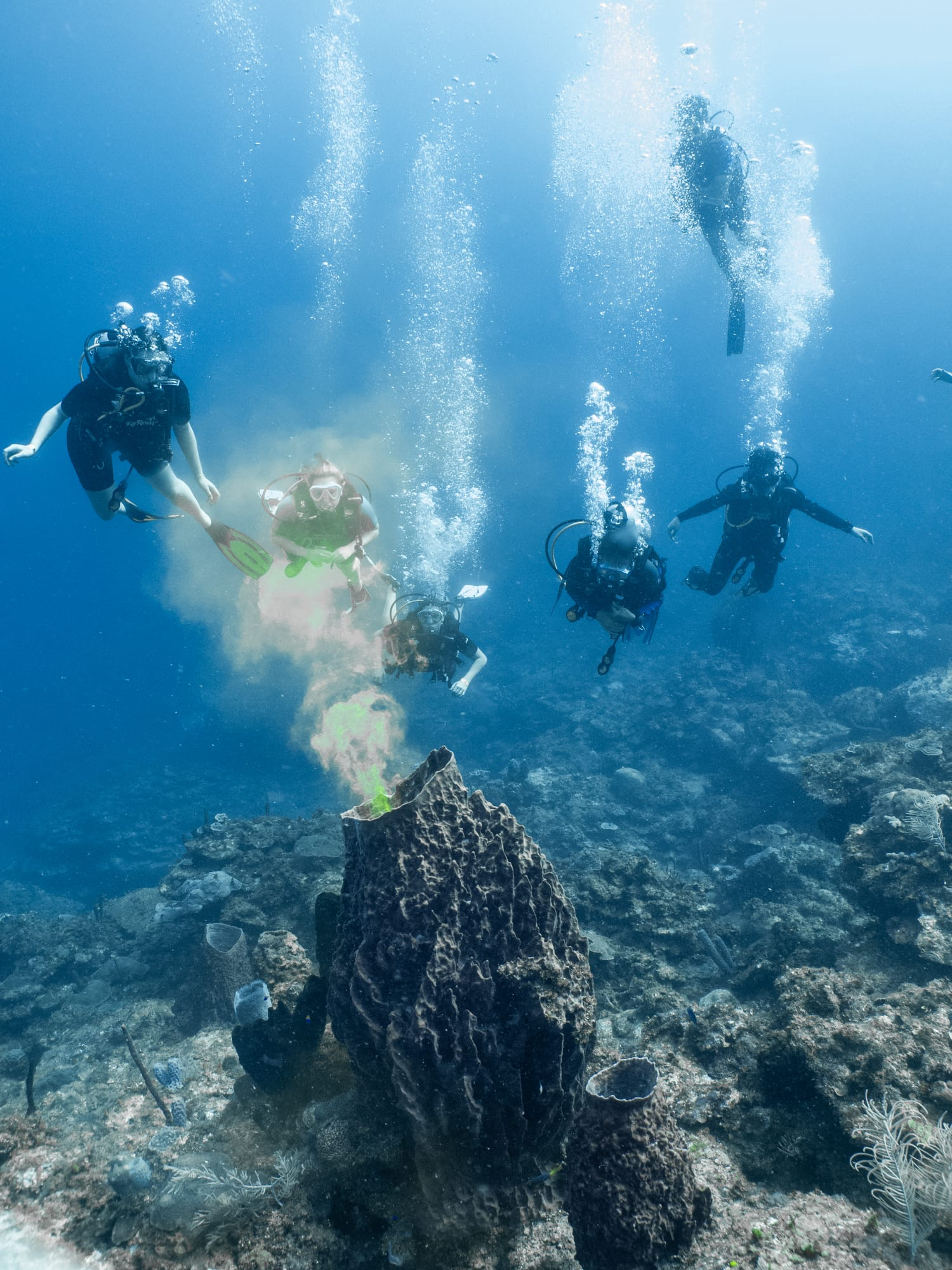 Iowa State students conducted research through both scuba diving and snorkeling during their Caribbean marine biology field course.