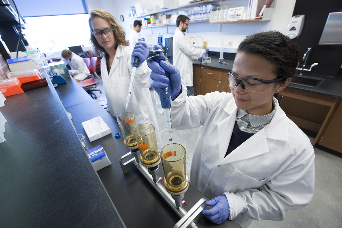 Students working in a lab.