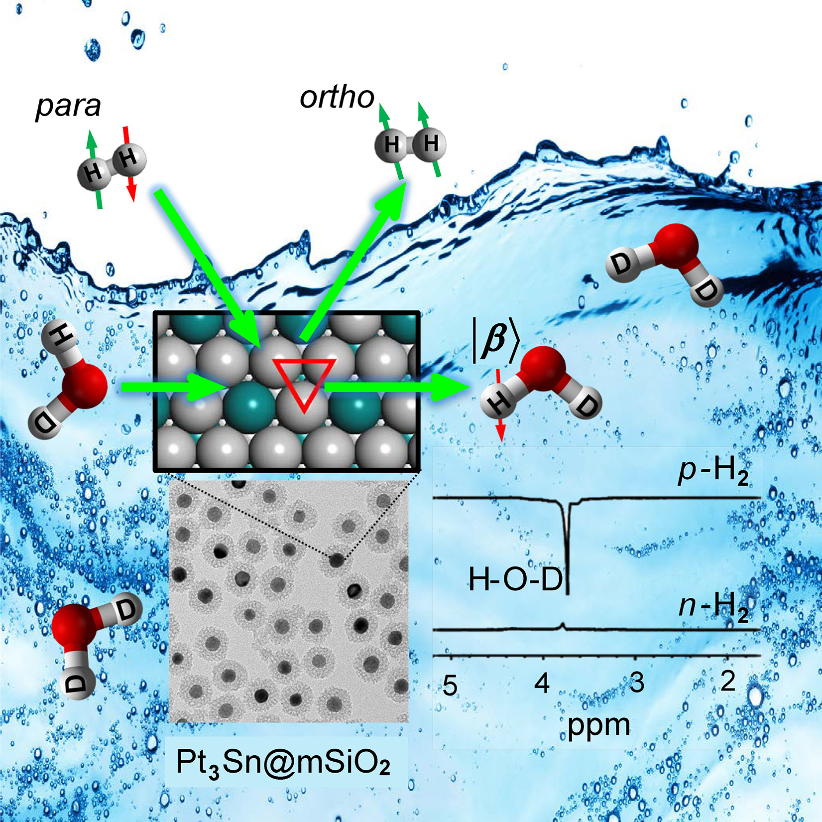 Drawings of molecules interacting with other molecules, behind them an image of water.