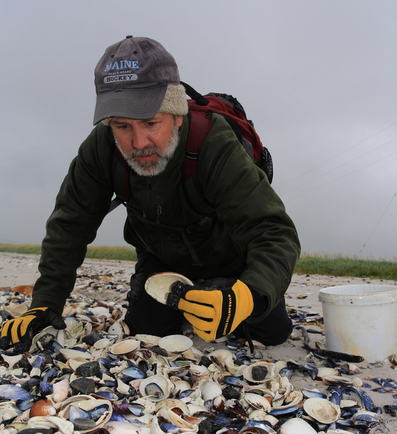 Alan Wanamaker dressed warmly on the beach sifts through shells.