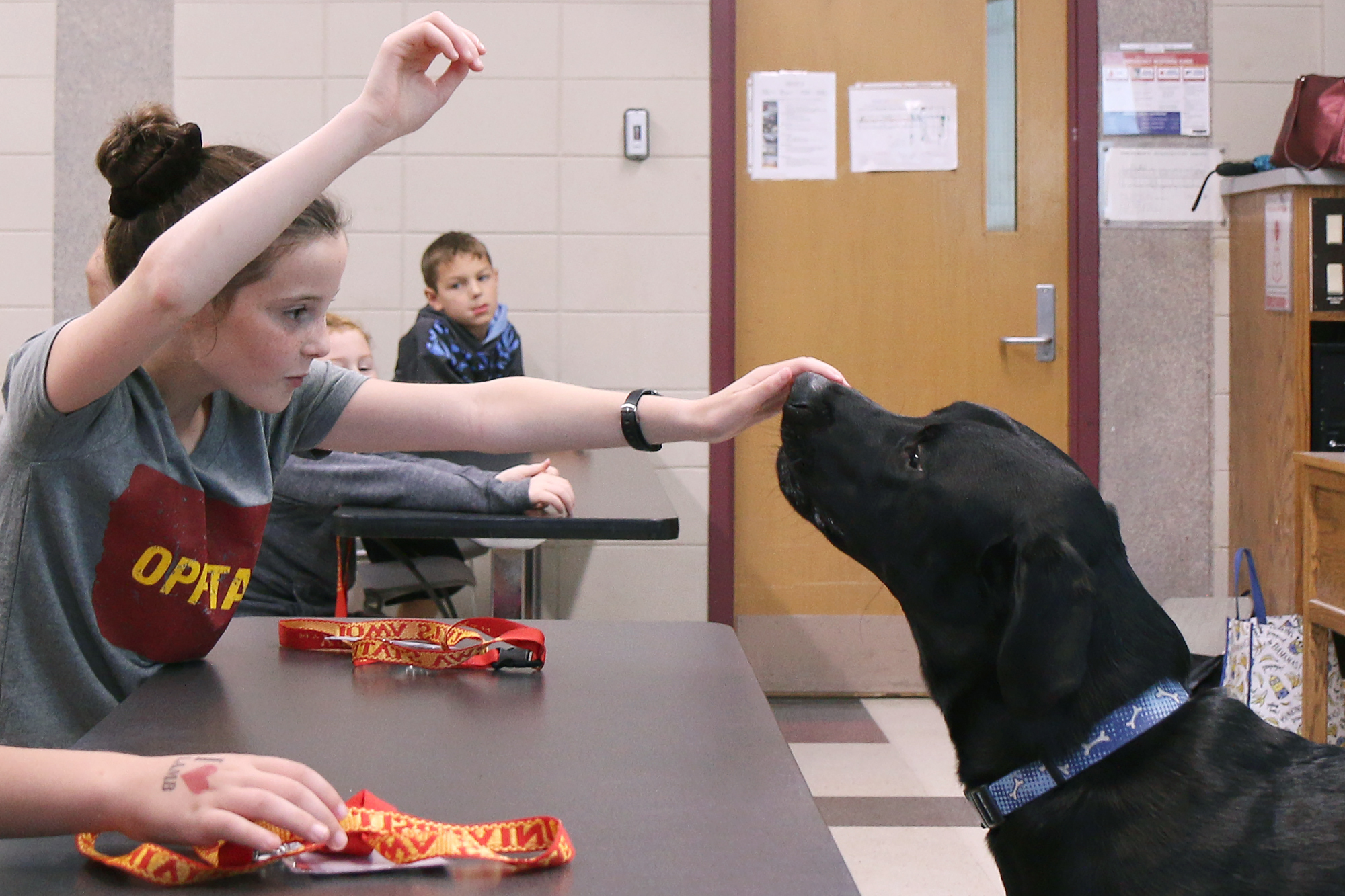 A student practices training a dog.