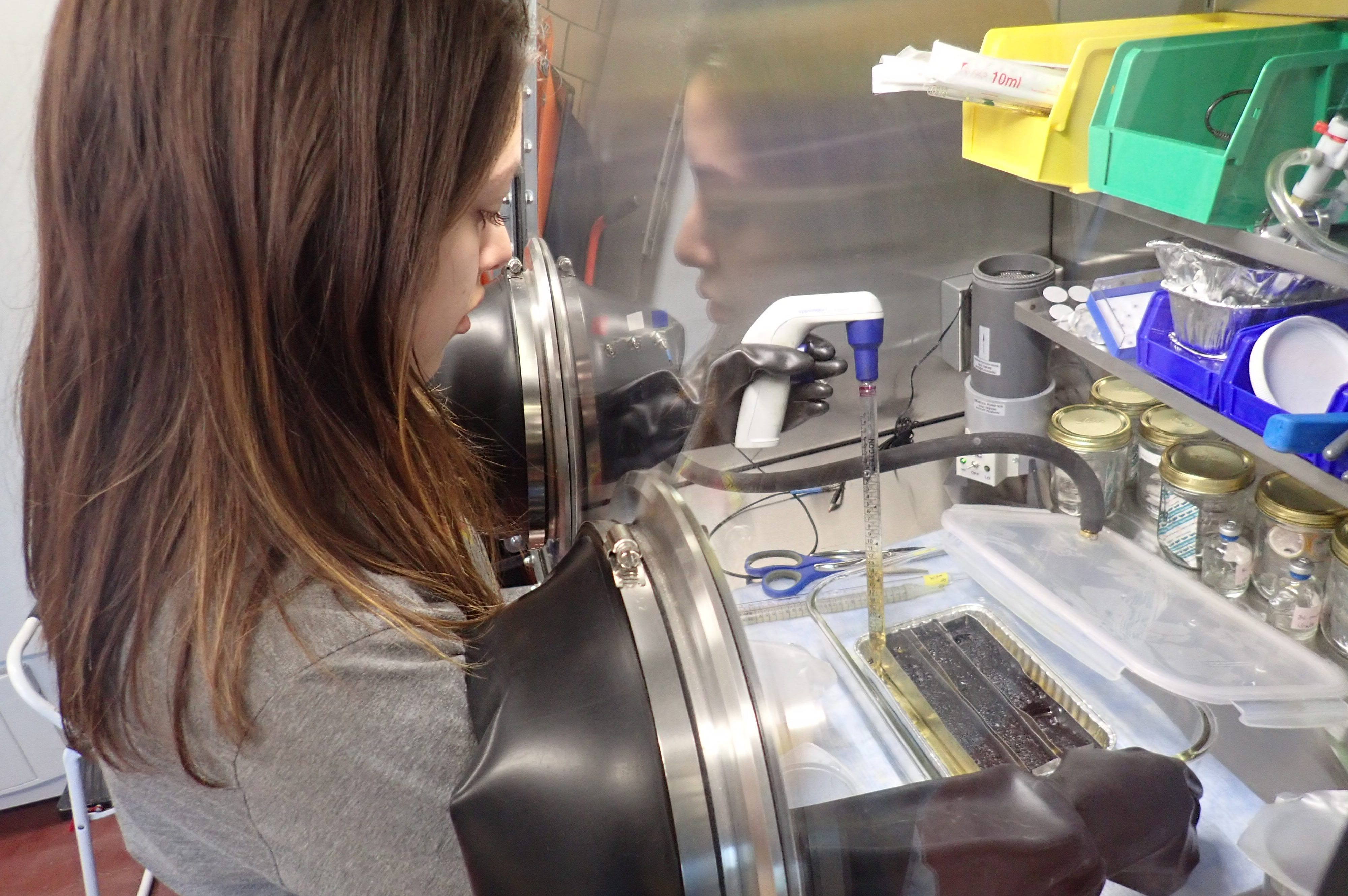 A woman working behind glass with the use of gloves.