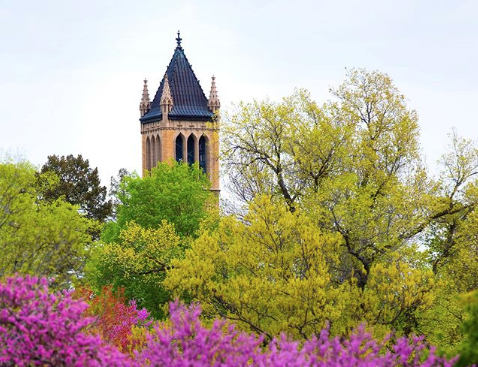 Iowa State University campanile with trees in front