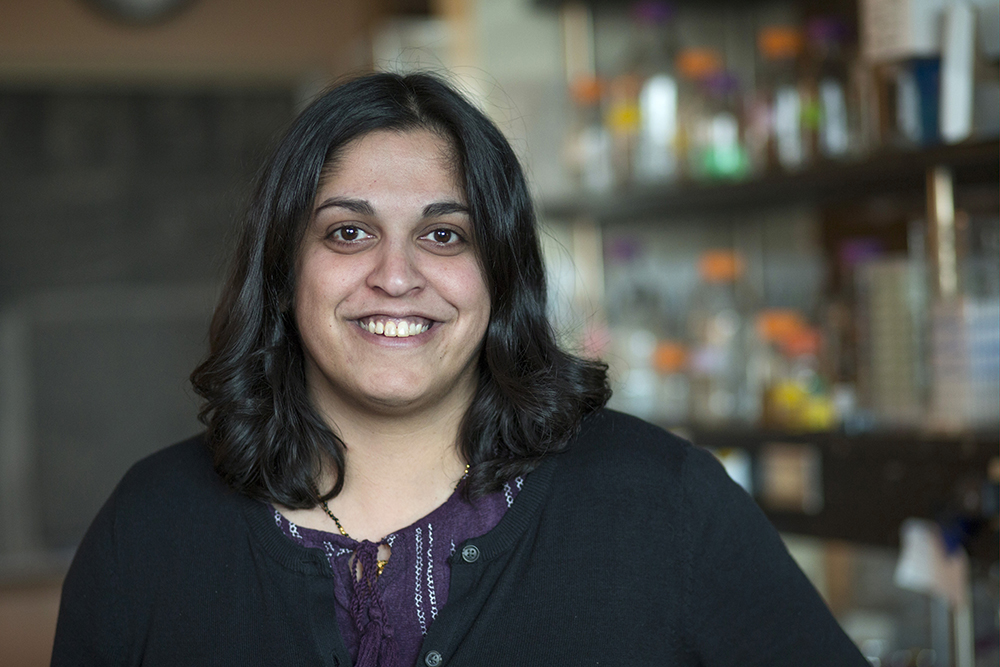 Dipali Sashital receives 2019 Camille Dreyfys Teacher-Scholar Award.