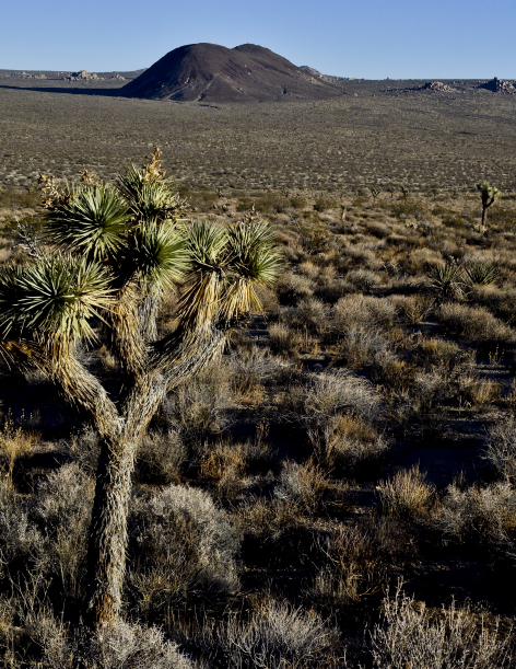 Long view of the Mojave Desert