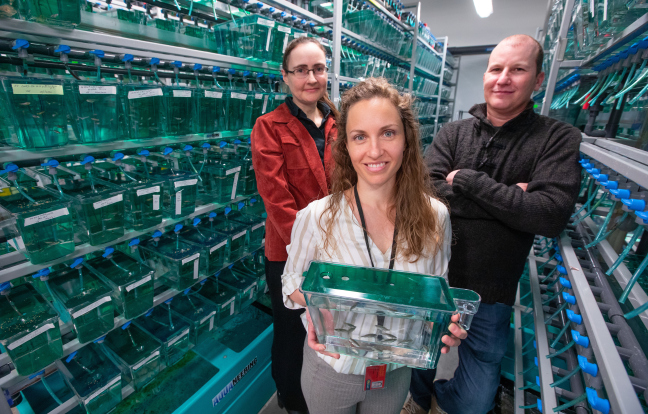 Researchers pose in the zebrafish room