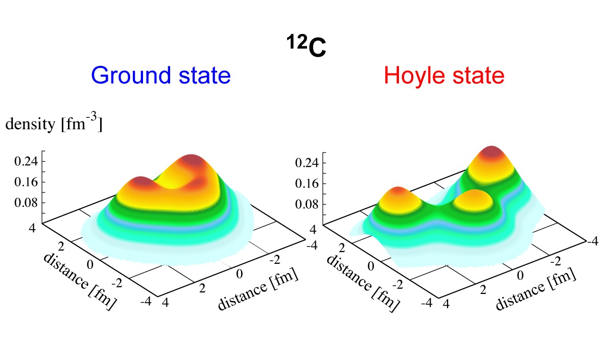 computer simulations illustrating the structures of carbon-12