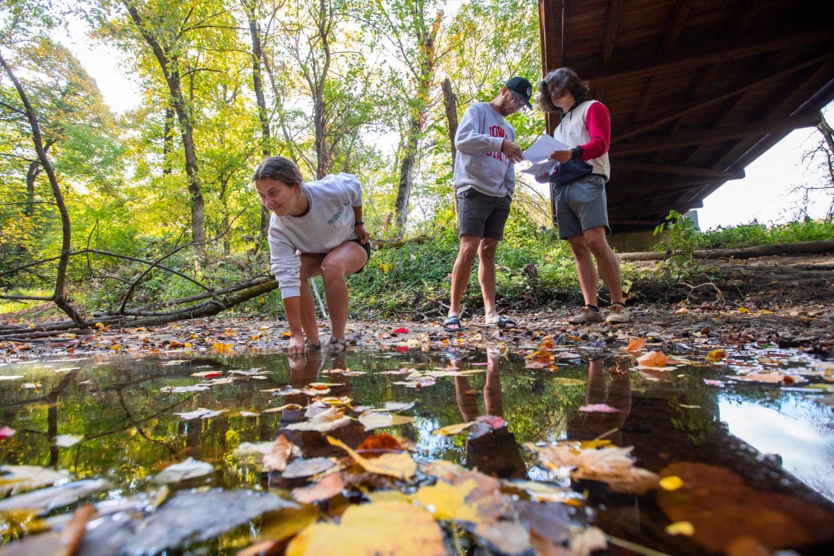 woman reaching into stream filled with leaves