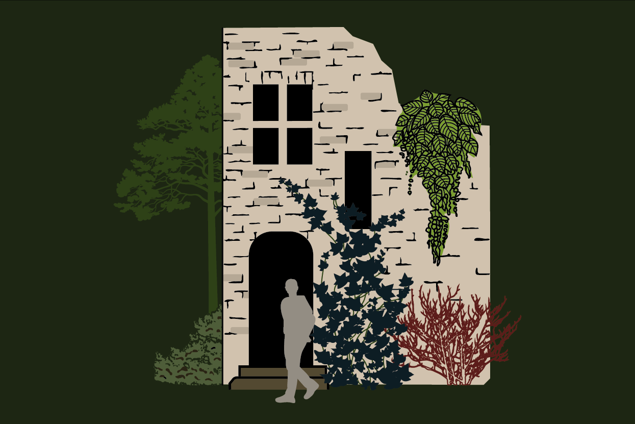 Illustrated graphic of vines and plants growing on a crumbling building. A human figure stands in the foreground