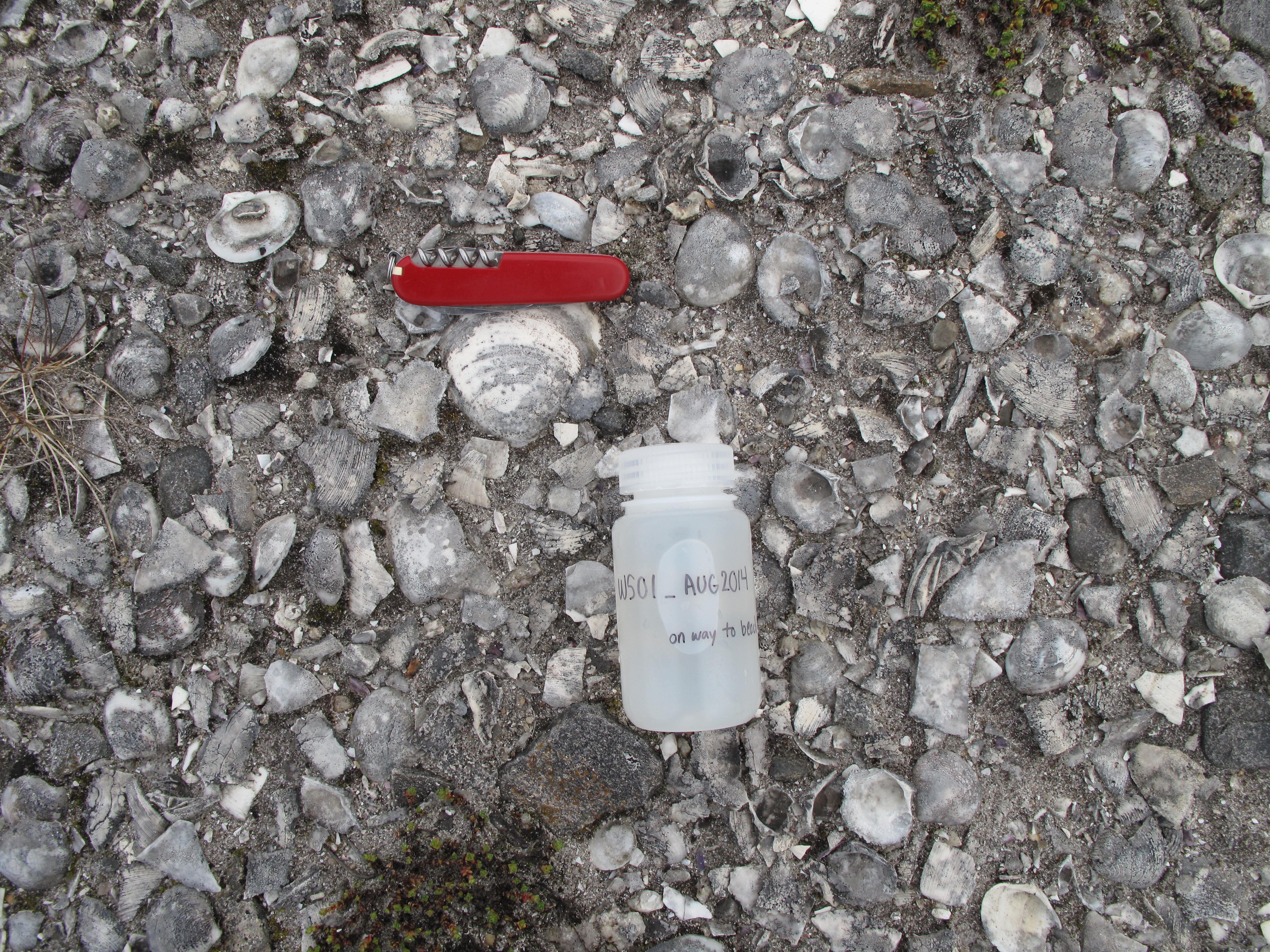 hell pavement near beach face, and a water sample that will be used for an isotope mixing line.