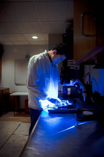 Carlos Hobbs working in a forensics lab