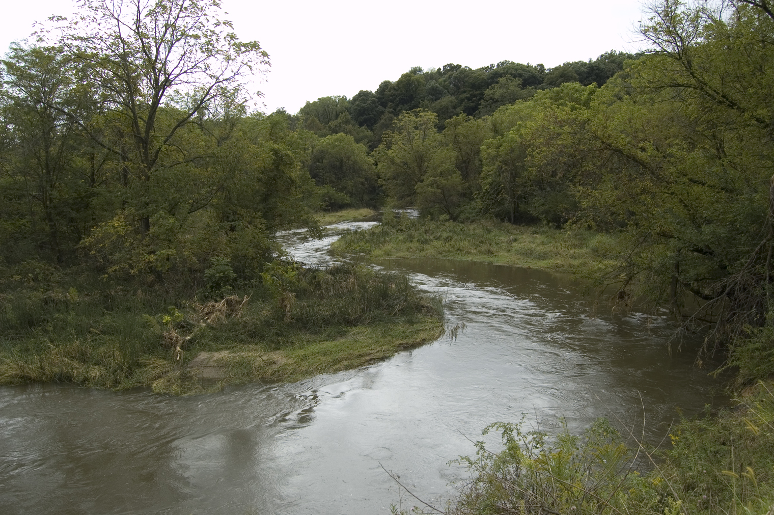 Bluff Creek - Everett Casey Nature Reserve